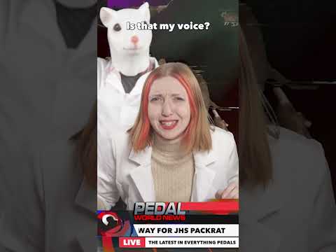 PACKRAT WHITE