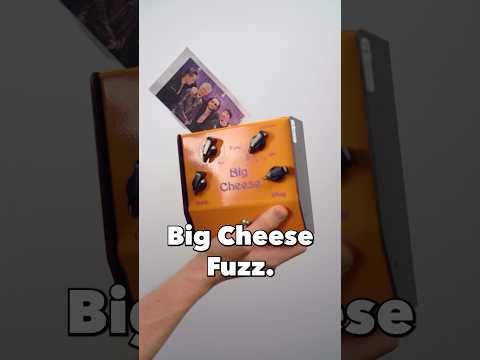 big cheese pedal CHEESE BALL – JHS Pedals
